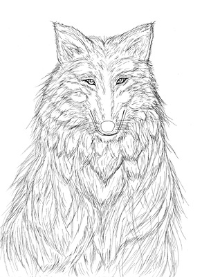 狼 or ヴォルグの長セレブロ（線画）